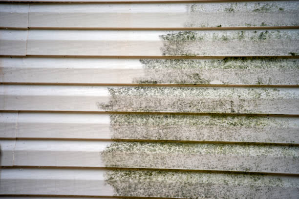 Best Property Management Cleanouts  in Frankton, IN